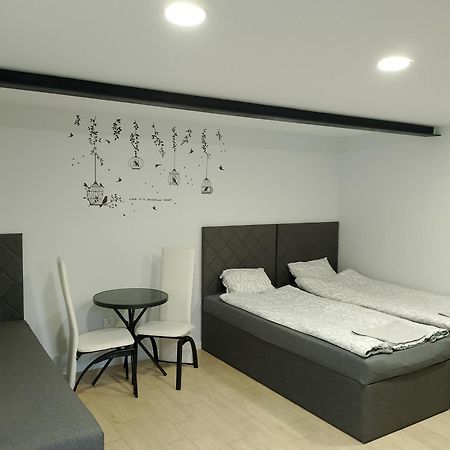 Apartament Z Ogrodem I Przemyśl Extérieur photo