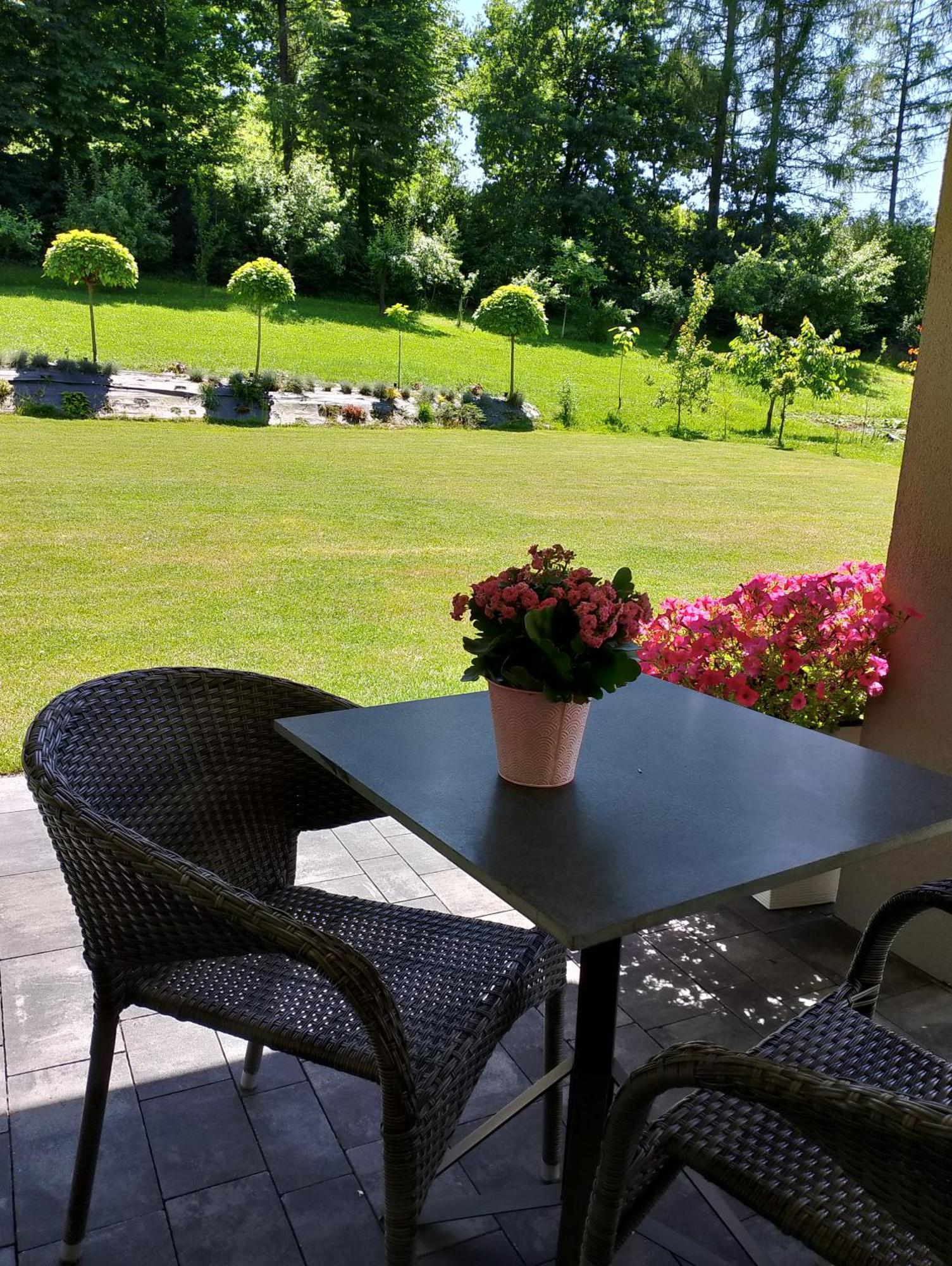 Apartament Z Ogrodem I Przemyśl Extérieur photo